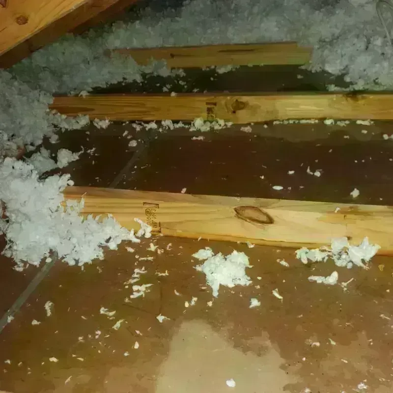 Attic Water Damage in Princeton, MO